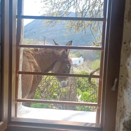 Hatzanario Apeiranthos * Apérathos